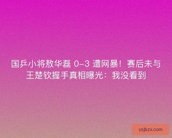 国乒小将敖华磊 0-3 遭网暴！赛后未与王楚钦握手真相曝光：我没看到