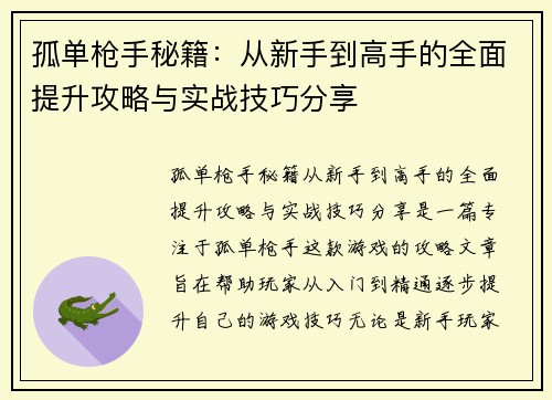孤单枪手秘籍：从新手到高手的全面提升攻略与实战技巧分享